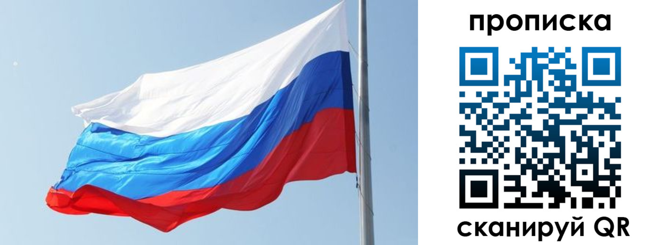 прописка для школы в Всеволожске